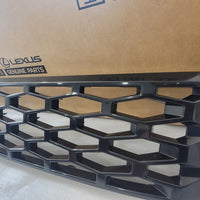 PRE-ORDER TOYOTA HILUX 2026 GENUINE SATIN BLACK GRILLS